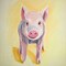 SOLITARY PIG Poster Print by Atelier B Art Studio - Item # VARPDXBEGANI419